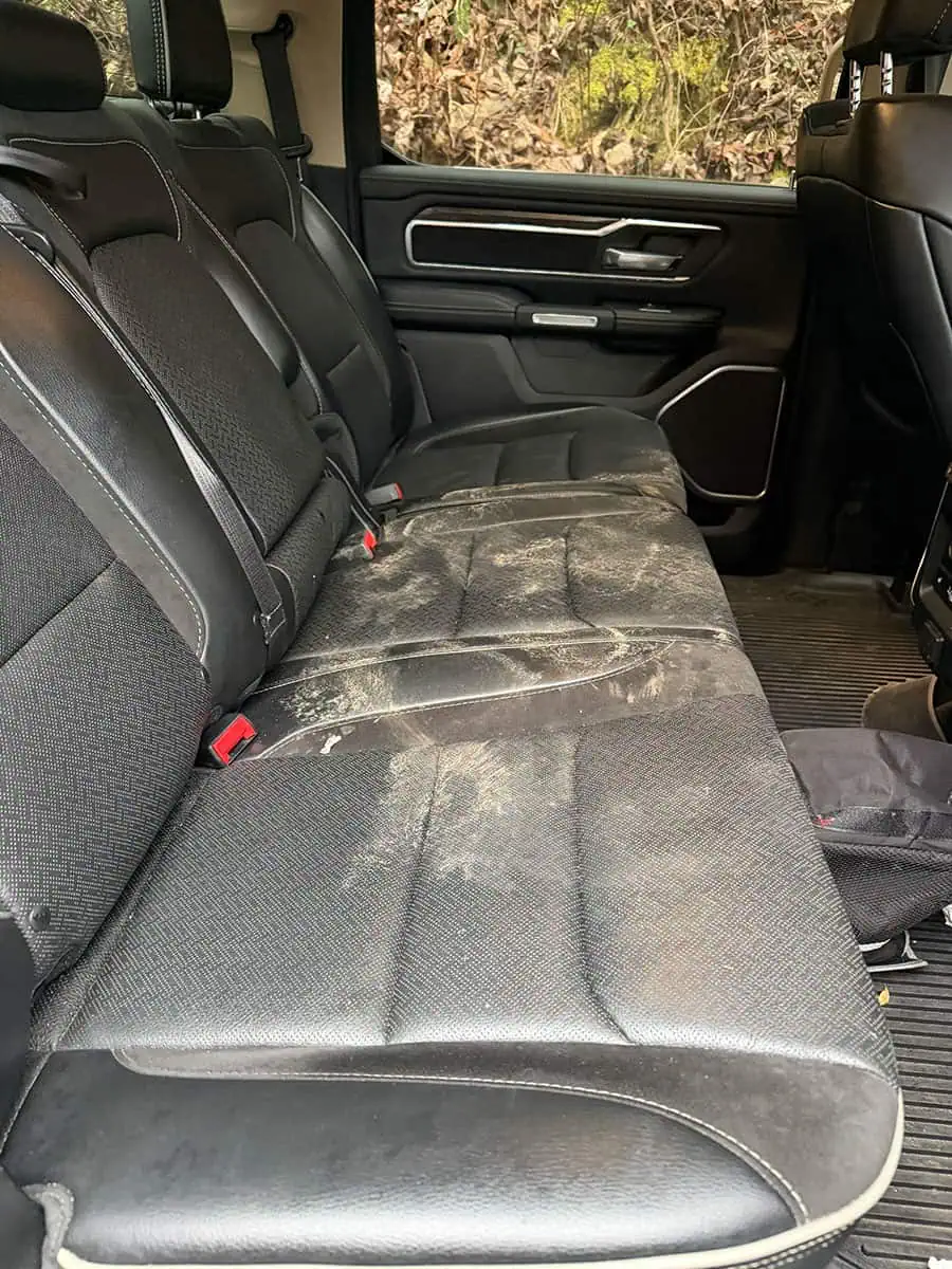 bear mud seats