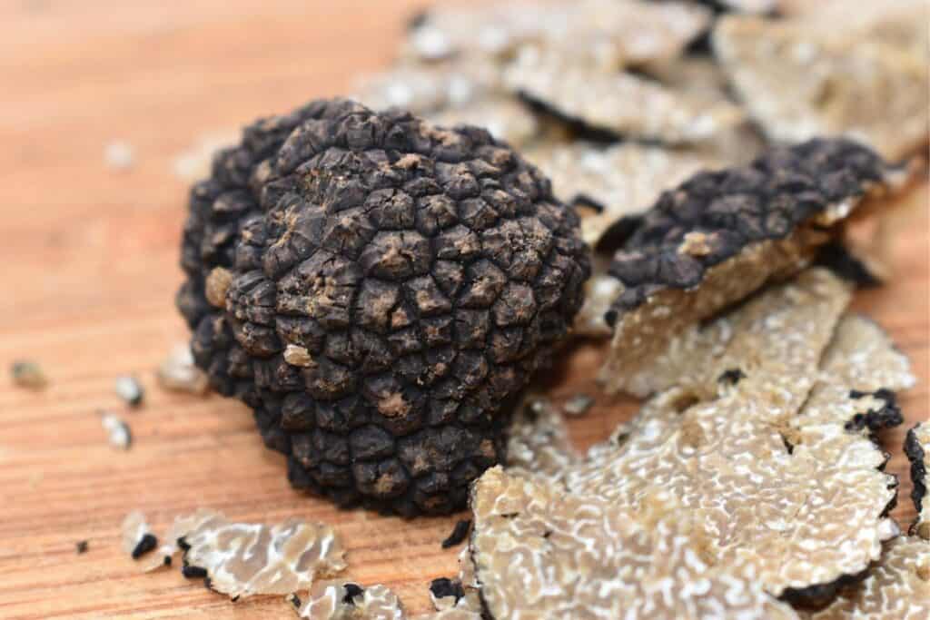 Are There Truffles in Michigan? Wildlife Informer